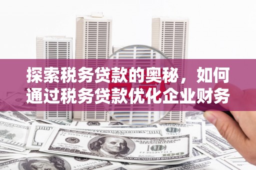 兰西探索税务贷款的奥秘，如何通过税务贷款优化企业财务
