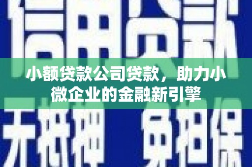 兰西小额贷款公司贷款，助力小微企业的金融新引擎