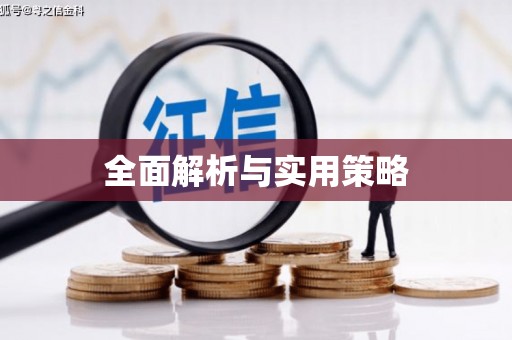 兰西全面解析与实用策略