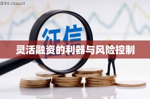 兰西灵活融资的利器与风险控制