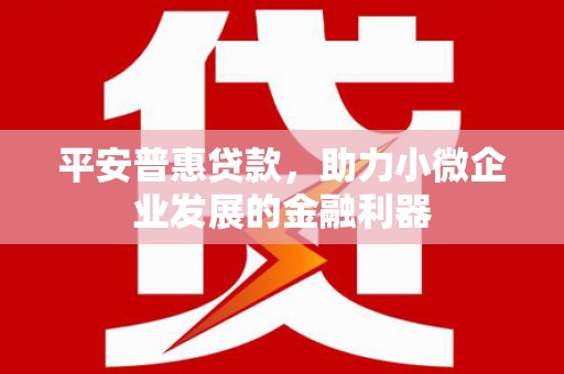 兰西平安普惠贷款，助力小微企业发展的金融利器
