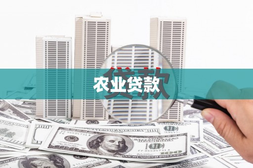 兰西农业贷款