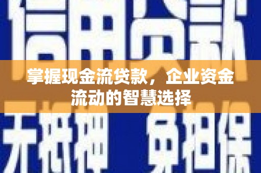 兰西掌握现金流贷款，企业资金流动的智慧选择