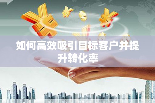 兰西如何高效吸引目标客户并提升转化率