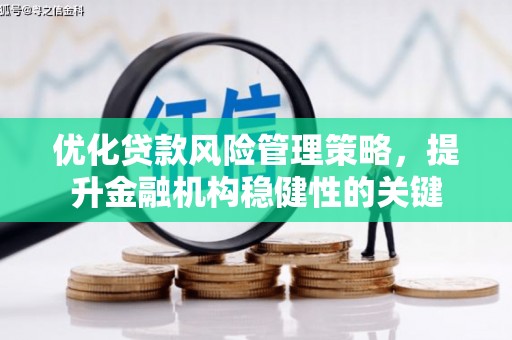兰西优化贷款风险管理策略，提升金融机构稳健性的关键