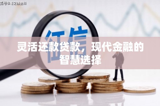 兰西灵活还款贷款，现代金融的智慧选择