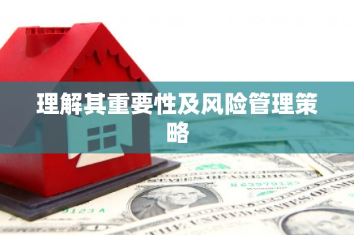 兰西理解其重要性及风险管理策略
