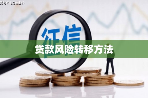 兰西贷款风险转移方法