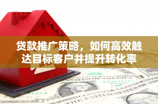 兰西贷款推广策略，如何高效触达目标客户并提升转化率
