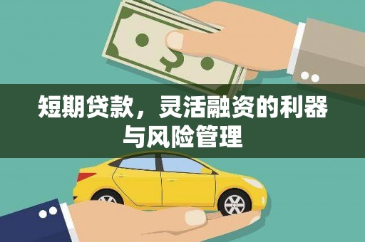 兰西短期贷款，灵活融资的利器与风险管理