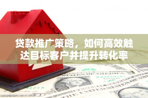 兰西贷款推广策略，如何高效触达目标客户并提升转化率