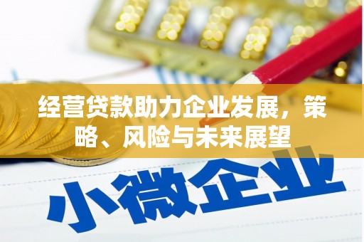 兰西经营贷款助力企业发展，策略、风险与未来展望