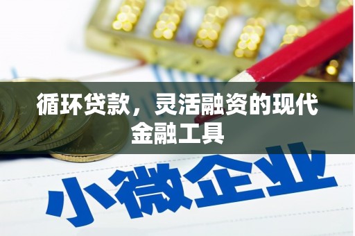 兰西循环贷款，灵活融资的现代金融工具
