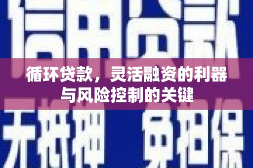 兰西循环贷款，灵活融资的利器与风险控制的关键