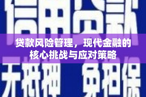 兰西贷款风险管理，现代金融的核心挑战与应对策略