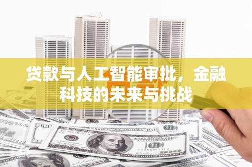 兰西贷款与人工智能审批，金融科技的未来与挑战