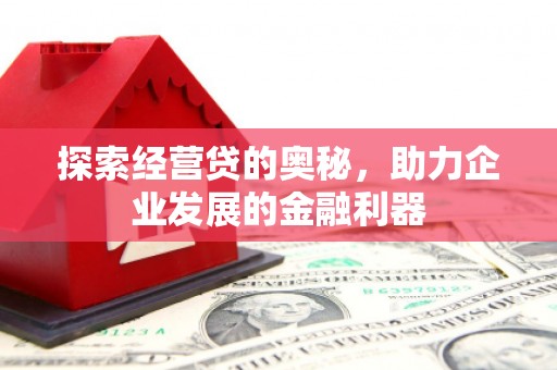 兰西探索经营贷的奥秘，助力企业发展的金融利器
