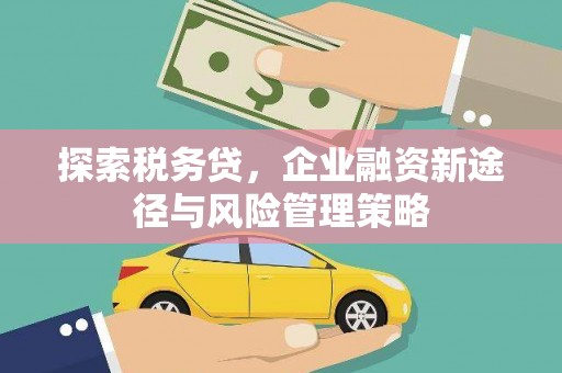 兰西探索税务贷，企业融资新途径与风险管理策略