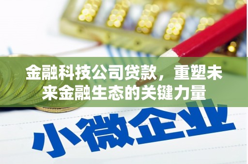 兰西金融科技公司贷款，重塑未来金融生态的关键力量