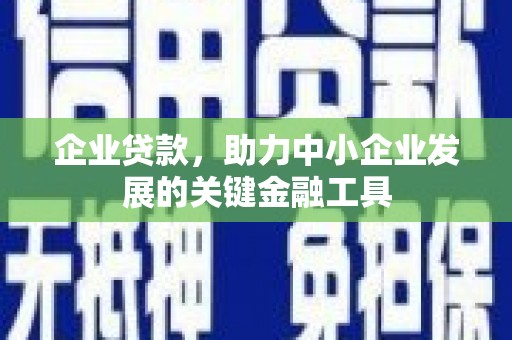 兰西企业贷款，助力中小企业发展的关键金融工具