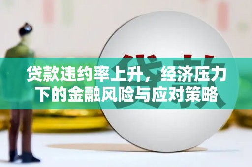 兰西贷款违约率上升，经济压力下的金融风险与应对策略