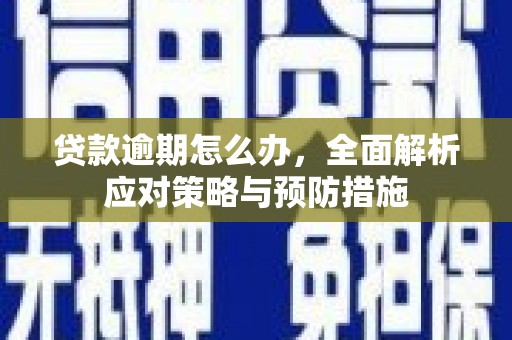 兰西贷款逾期怎么办，全面解析应对策略与预防措施