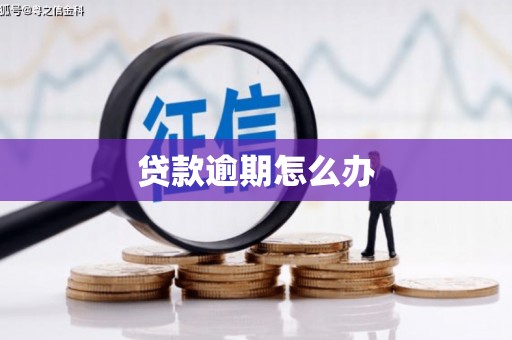 兰西贷款逾期怎么办