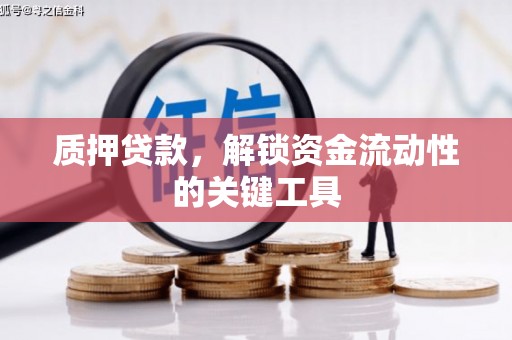兰西质押贷款，解锁资金流动性的关键工具