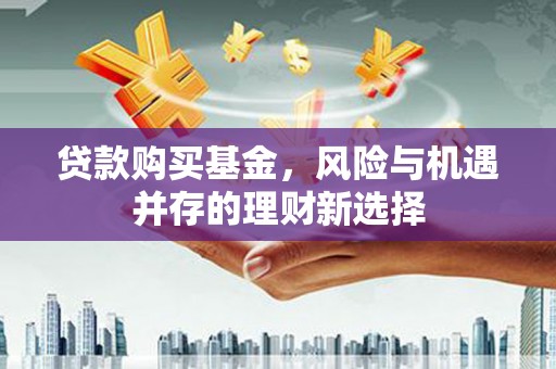 兰西贷款购买基金，风险与机遇并存的理财新选择