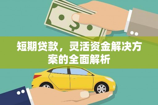 兰西短期贷款，灵活资金解决方案的全面解析