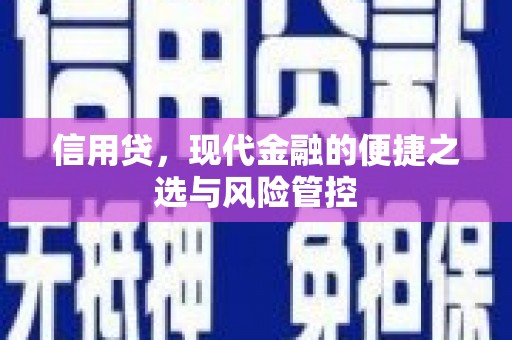 兰西信用贷，现代金融的便捷之选与风险管控
