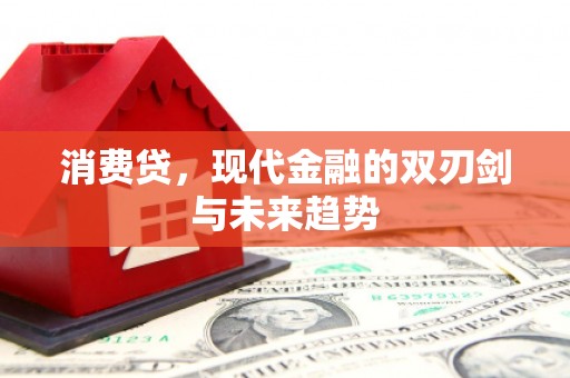 兰西消费贷，现代金融的双刃剑与未来趋势