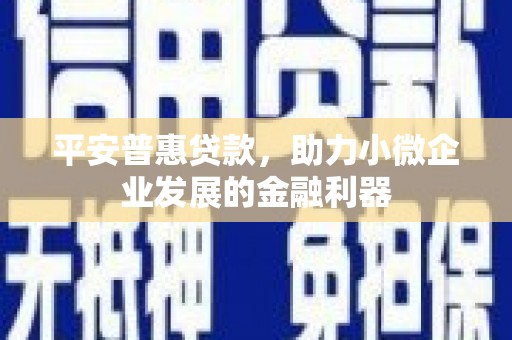 兰西平安普惠贷款，助力小微企业发展的金融利器