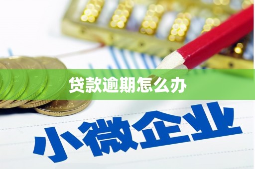 兰西贷款逾期怎么办