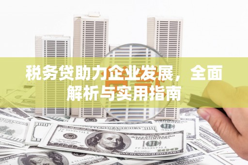 兰西税务贷助力企业发展，全面解析与实用指南
