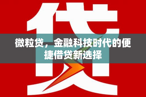 兰西微粒贷，金融科技时代的便捷借贷新选择