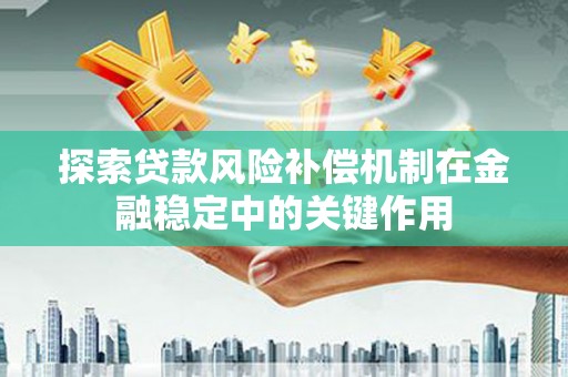 兰西探索贷款风险补偿机制在金融稳定中的关键作用