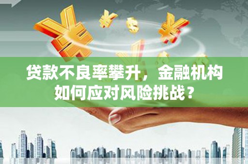 兰西贷款不良率攀升，金融机构如何应对风险挑战？