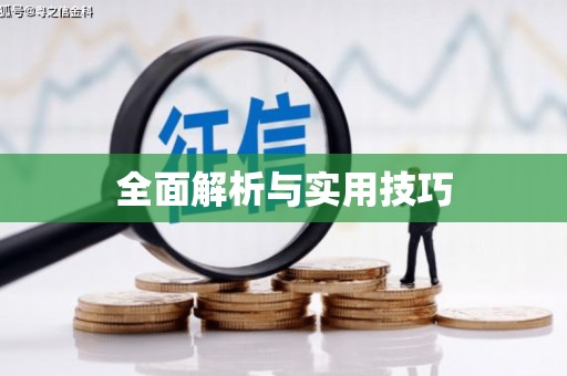 兰西全面解析与实用技巧