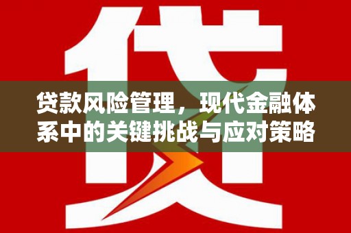 兰西贷款风险管理，现代金融体系中的关键挑战与应对策略