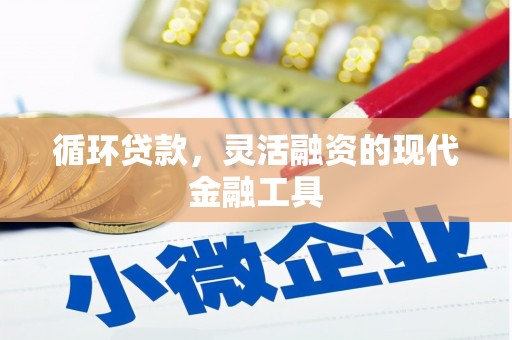 兰西循环贷款，灵活融资的现代金融工具