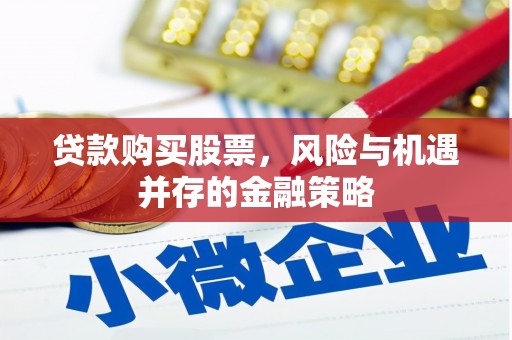兰西贷款购买股票，风险与机遇并存的金融策略