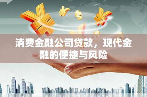 兰西消费金融公司贷款，现代金融的便捷与风险