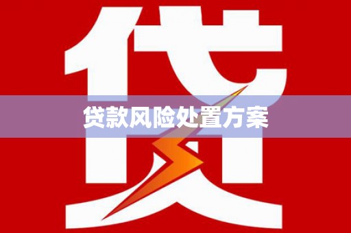 兰西贷款风险处置方案