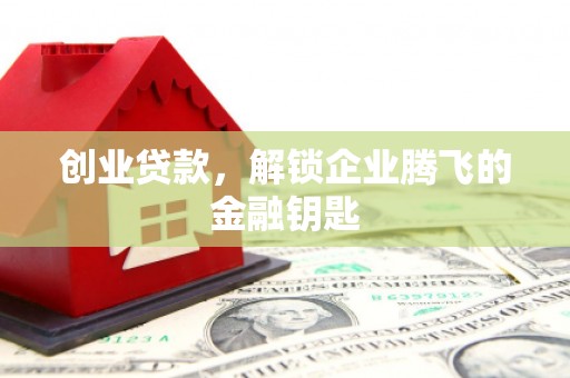 兰西创业贷款，解锁企业腾飞的金融钥匙