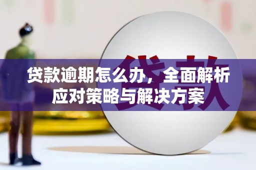 兰西贷款逾期怎么办，全面解析应对策略与解决方案