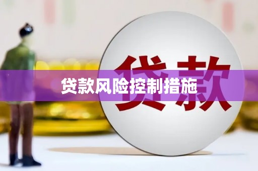 兰西贷款风险控制措施