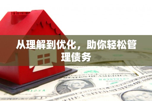 兰西从理解到优化，助你轻松管理债务