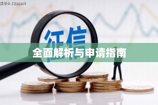 兰西全面解析与申请指南