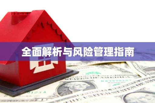 兰西全面解析与风险管理指南